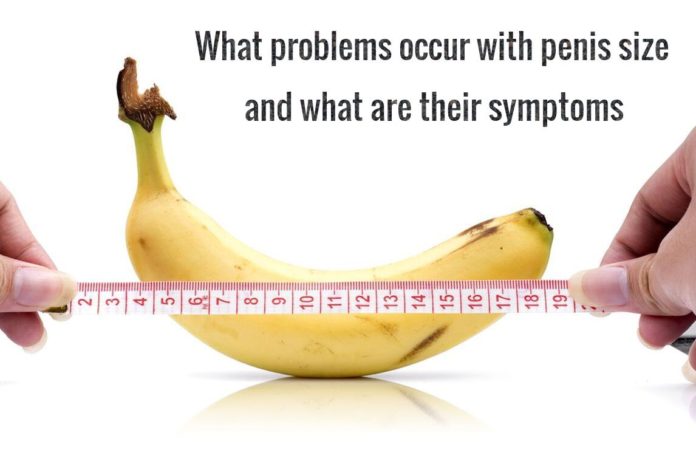What problems occur with penis size and what are their symptoms1